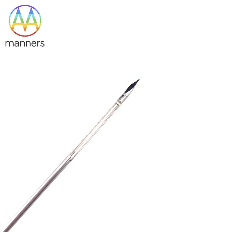 Cov teeb meem hauv Ultrasonic Imaging Needle Test--Spinal Needle