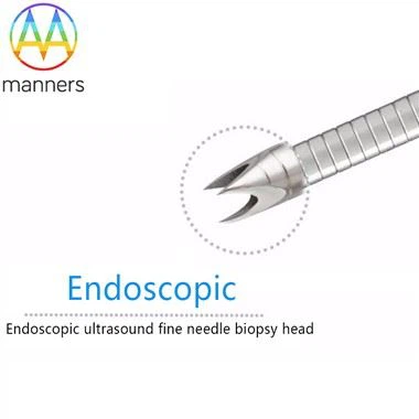 Tib Siv Endoscopic Ultrasound Koob